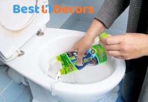 Best Drain Cleaner For Toilet