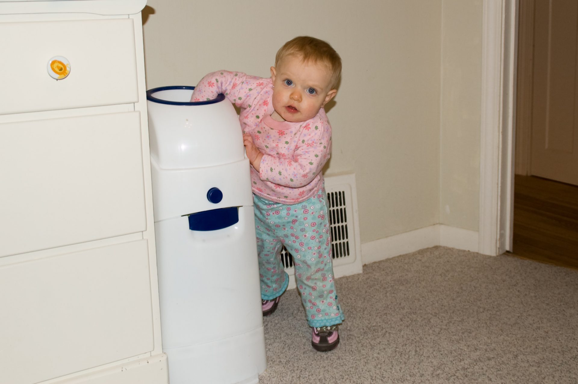 Best Trash Can For Diapers (Top 7) Best House Decors