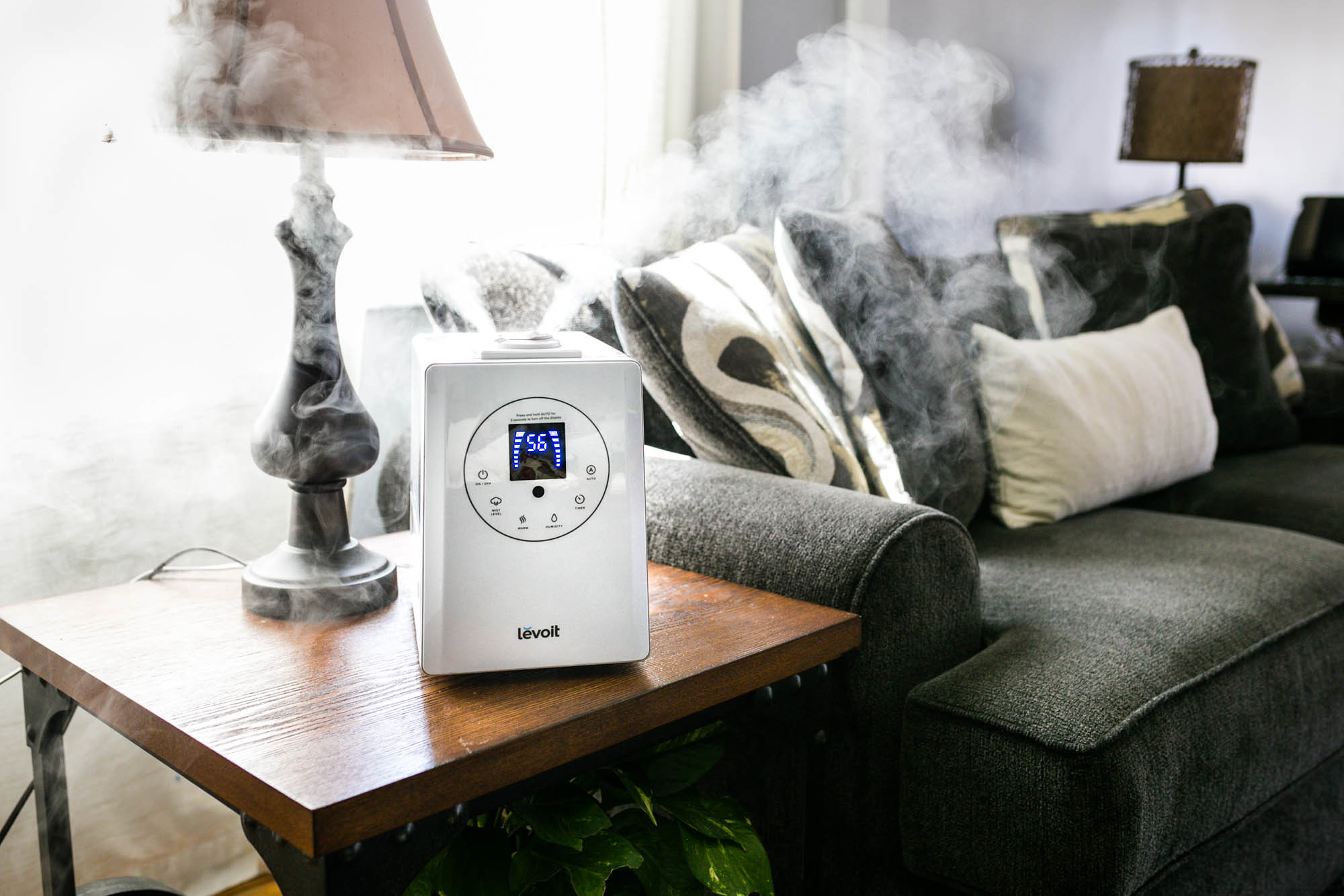 Placing a Humidifier in Your Living Room