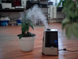 Best Humidifier for Sinus Congestion