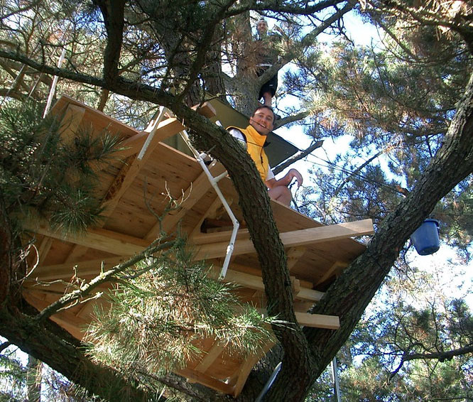 How to Build A Tree Stand Platform