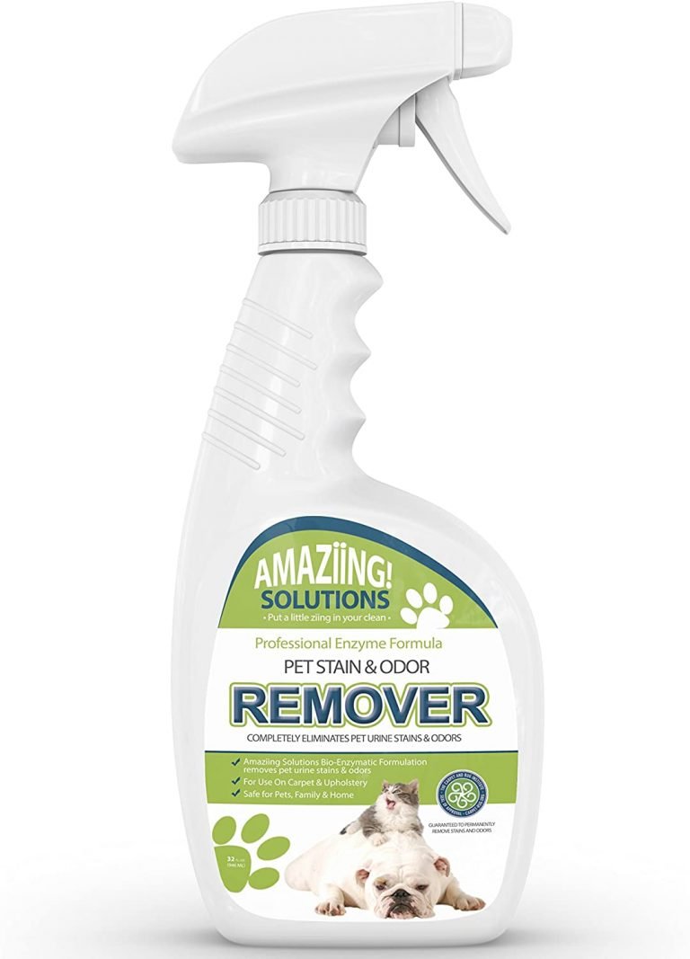 Best Dog Urine Odor Remover Reviews of 2023 Best House Decors