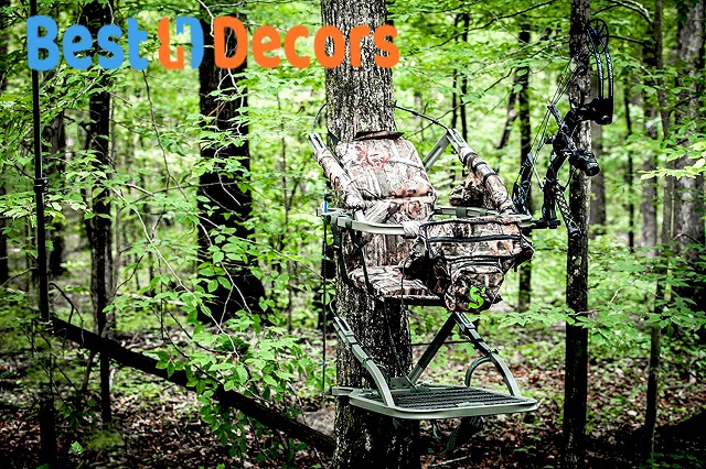 How High Should My Tree Stand Be