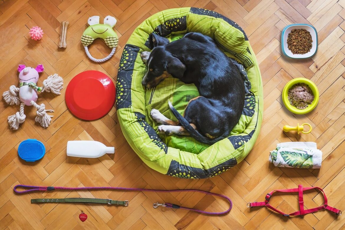 wash dog bed with stuffing