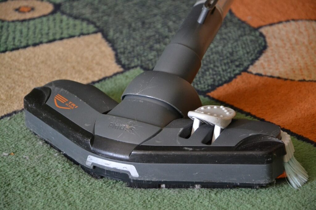 Best Handheld Vacuum for Cat Litter