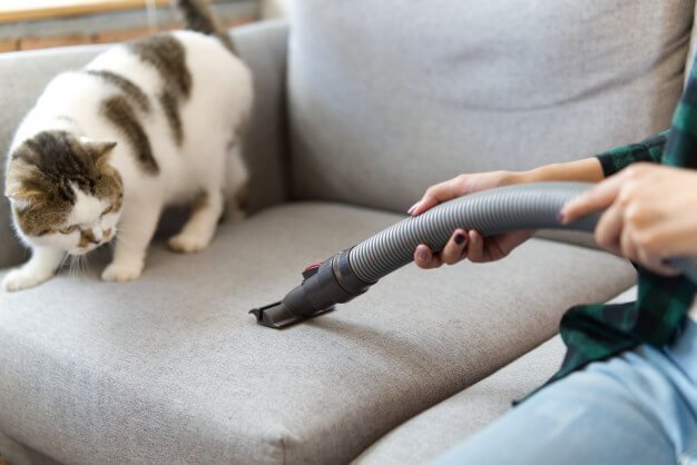 best handheld vacuum for cat litter